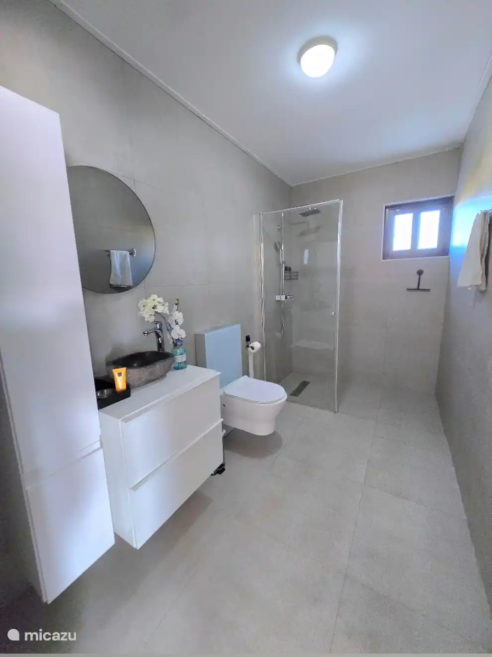 Bathroom 2 : walk-in shower, toilet, sink and bathroom cabinet 