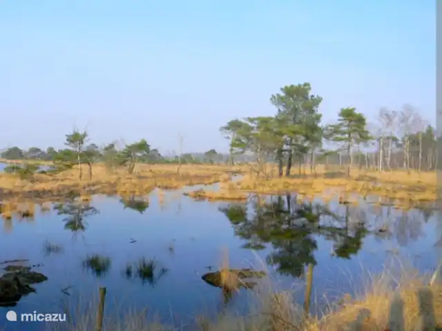 Zen huisje huren in België, Antwerpen, Turnhout - tiny house Het natuurgebied 'Turnhout vennegebied' ligt op een kleine 500 meter wandelen van de Tiny house, zeker de moeite waard om een keer naartoe te wandelen!