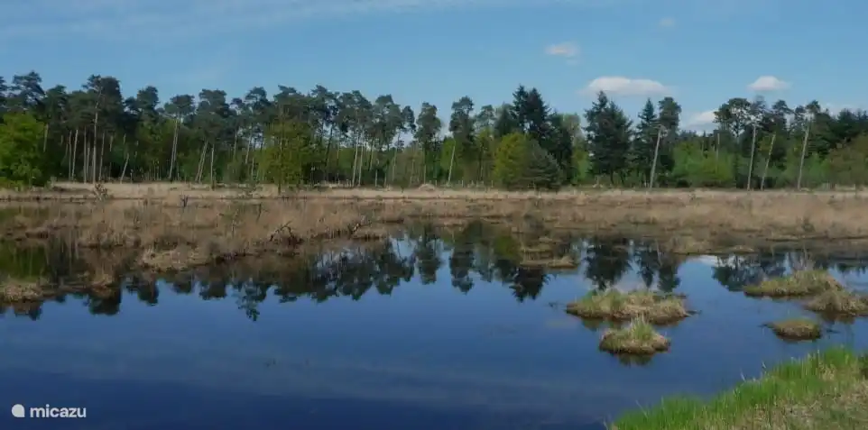 sfeerfoto van het Turnhouts vennegebied
