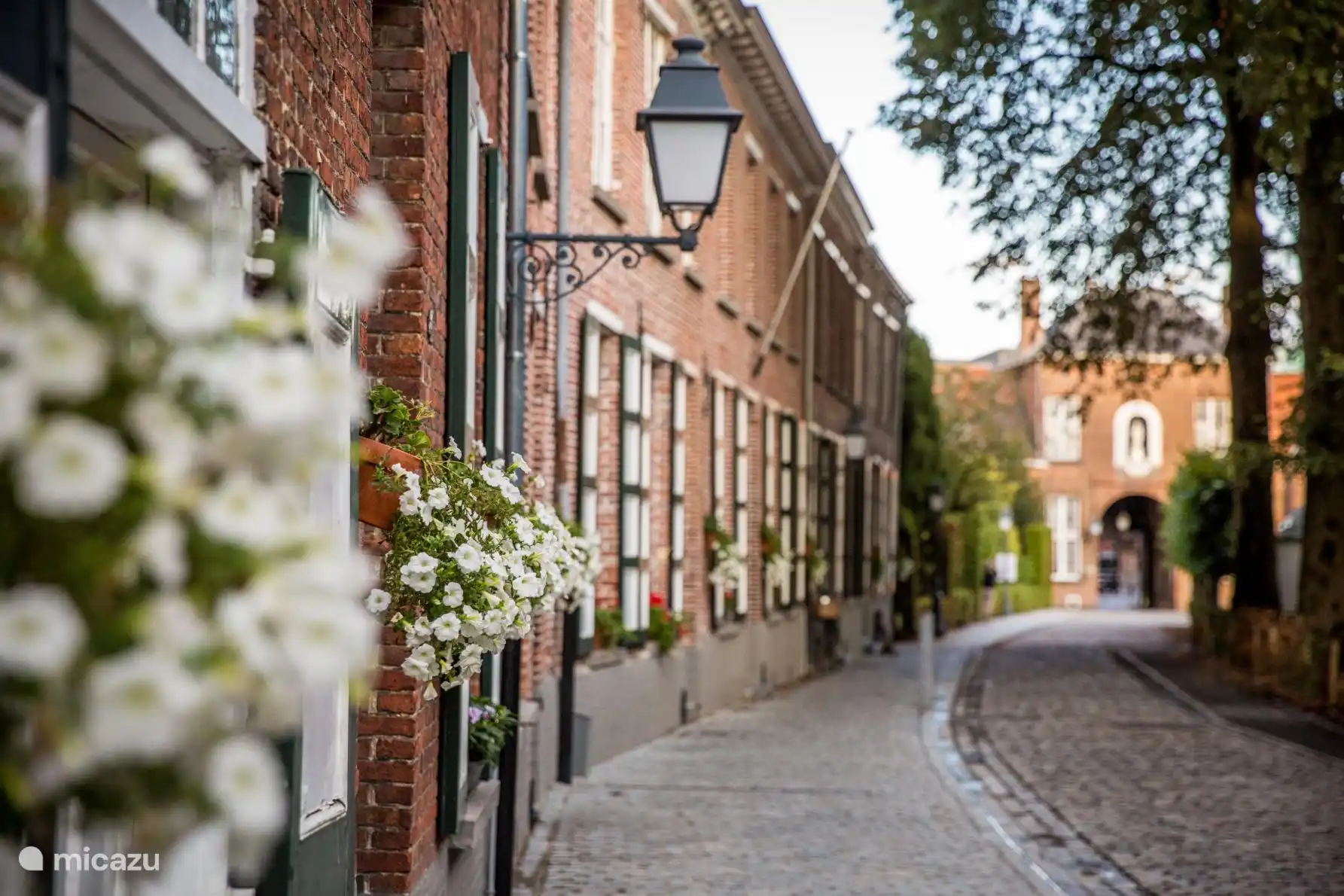 het Begijnhof, traditionele rijwoningen van vroeger waardoor je kan wandelen en af en toe een binnen kan piepen in de woningen, zeer leuk om te zien! Deze bevinden zich op circa 300 meter van de markt waarna je dan een gezellig terrasje kan doen.