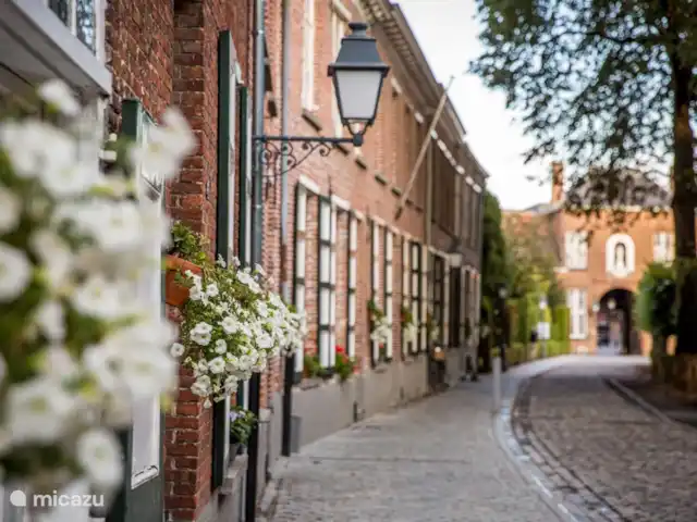 Zen huisje huren in België, Antwerpen, Turnhout - tiny house het Begijnhof, traditionele rijwoningen van vroeger waardoor je kan wandelen en af en toe een binnen kan piepen in de woningen, zeer leuk om te zien! Deze bevinden zich op circa 300 meter van de markt waarna je dan een gezellig terrasje kan doen.