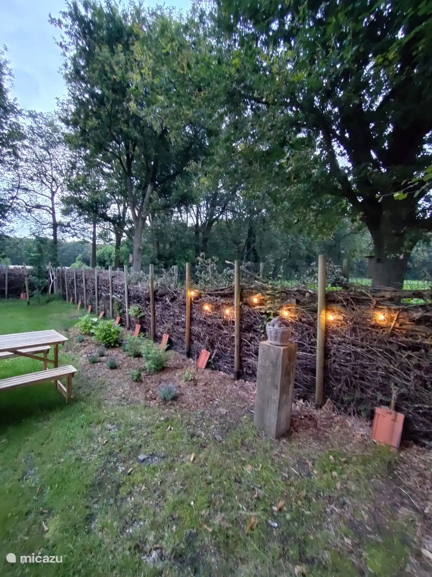 De gezellige buitenkant met een aanpalende tuin te midden van mooie bomen en een omringde takkenwal
