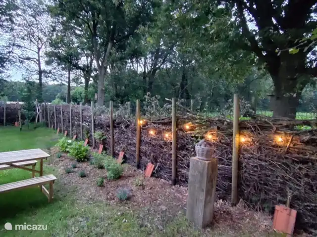 Zen huisje huren in België, Antwerpen, Turnhout - tiny house De gezellige buitenkant met een aanpalende tuin te midden van mooie bomen en een omringde takkenwal