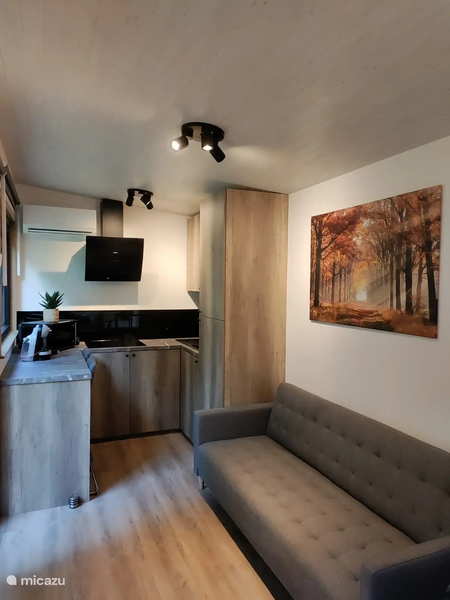 Een ruime en praktische keuken voor een tiny house met een ruime koelkast en klein vriesvak, microgolfoven, lavabo, dampkap en koopplaat voor inductie met 4 pitten. in de kasten vind je allerlei keukengerei, borden, etc... De airco wordt zowel voor het koelen als opwarmen van de TH gebruikt.