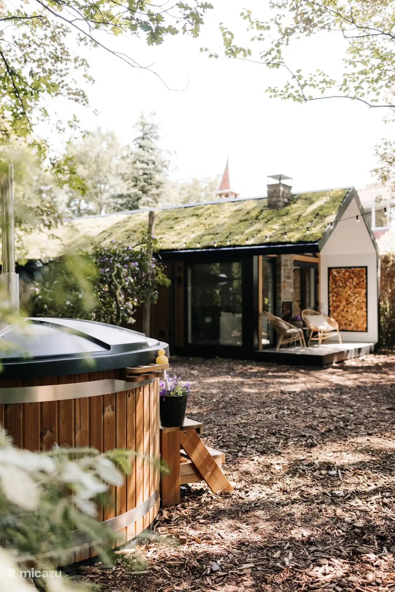 Seitenansicht Veluwe Flug