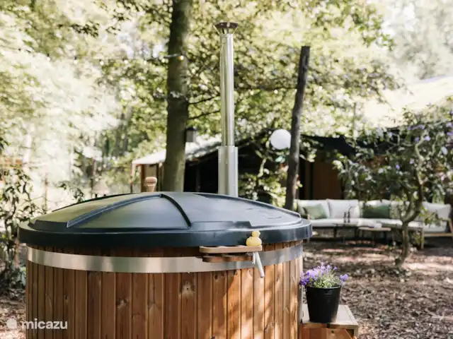 Vol Veluwe | Pays-Bas, Gueldre, Stroe - tiny house Bain à remous privé pour 6 personnes avec vue sur la forêt