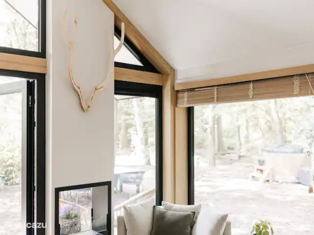 Vol Veluwe | Pays-Bas, Gueldre, Stroe - tiny house Salon avec coin salon, vue sur la forêt, cheminée transparente