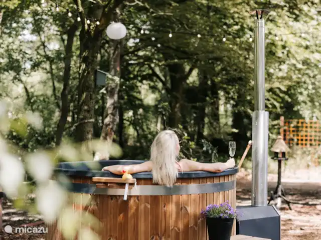 Vol Veluwe | Pays-Bas, Gueldre, Stroe - tiny house Bain à remous privé pour 6 personnes avec vue sur la forêt