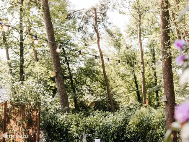 Vol Veluwe | Pays-Bas, Gueldre, Stroe - tiny house Table d’extérieur
