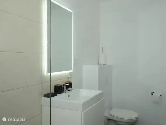 villa huren in Curaçao, Banda Ariba (oost), Marie Pampoen – Indigo House Slaapkamer 3 heeft z'n eigen en suite badkamer, inclusief douche, wastafel en toilet.