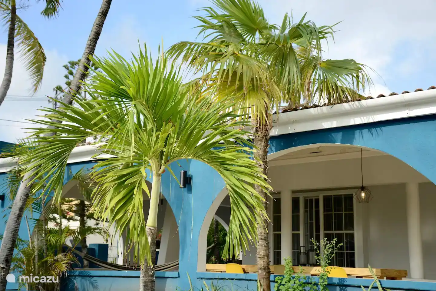 Looking at the swaying palm trees of one of the pool beds in our garden, you can completely relax.
