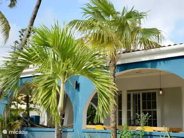 villa huren in Curaçao, Banda Ariba (oost), Marie Pampoen – Indigo House Kijkend naar de wuivende palmbomen van één van de poolbedden in onze tuin, kom je helemaal tot rust.