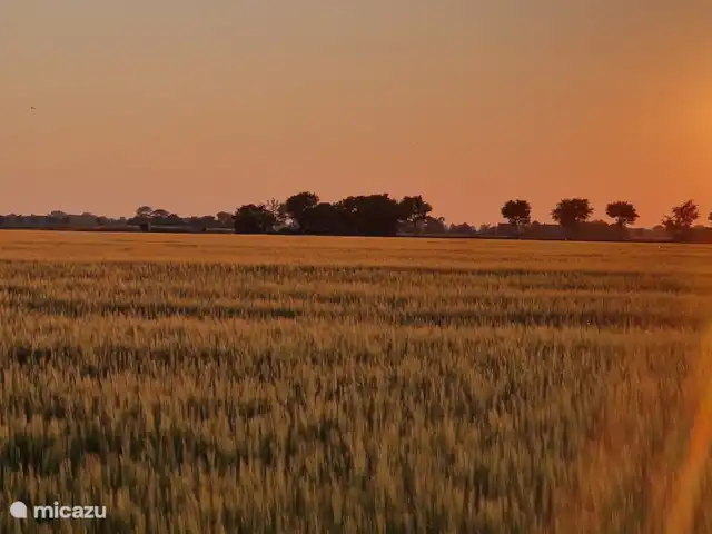 Lot 17 | Pays-Bas, Hollande du Nord, Anna Paulowna - maison de vacances Vue dégagée à l’arrière