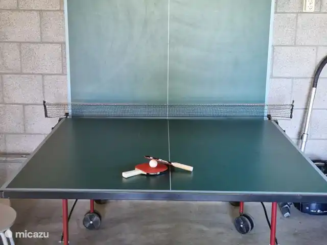 Lot 17 | Pays-Bas, Hollande du Nord, Anna Paulowna - maison de vacances La table de ping-pong peut également être emportée à l’extérieur