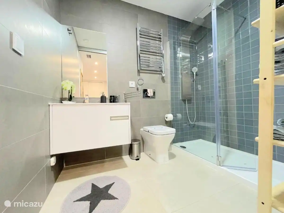 Cuarto de baño privado con ducha, inodoro, lavabo y champú/gel de ducha. Disponemos de 2 toallas para cada huésped