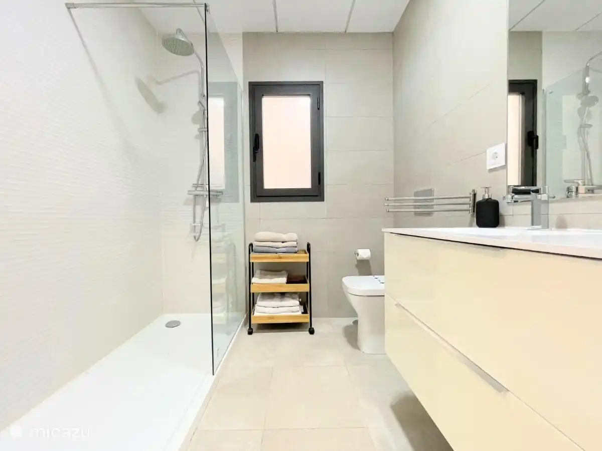 Baño 1 con ducha, inodoro, lavabo y champú/gel de ducha. Disponemos de 2 toallas para cada huésped