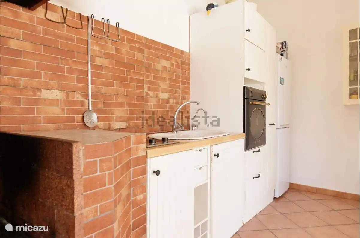 Außenküche mit Holzkohleschrank, Gefrierschrank, Backofen, Trinkwasser und eingebautem Grillplatz 