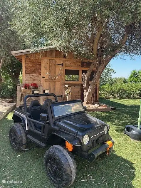 Spielhaus und elektrisches Spielauto