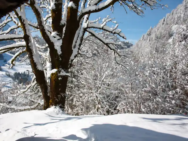 La Case | France, Haute-Savoie, Abondance - chalet