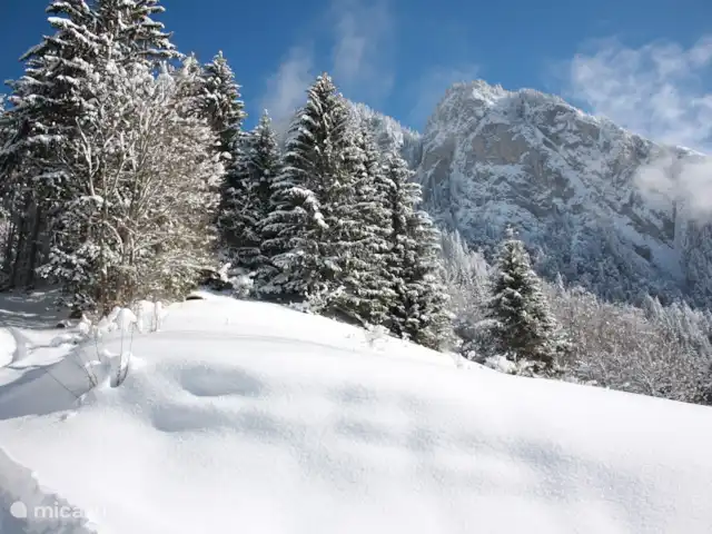 La Case | France, Haute-Savoie, Abondance - chalet