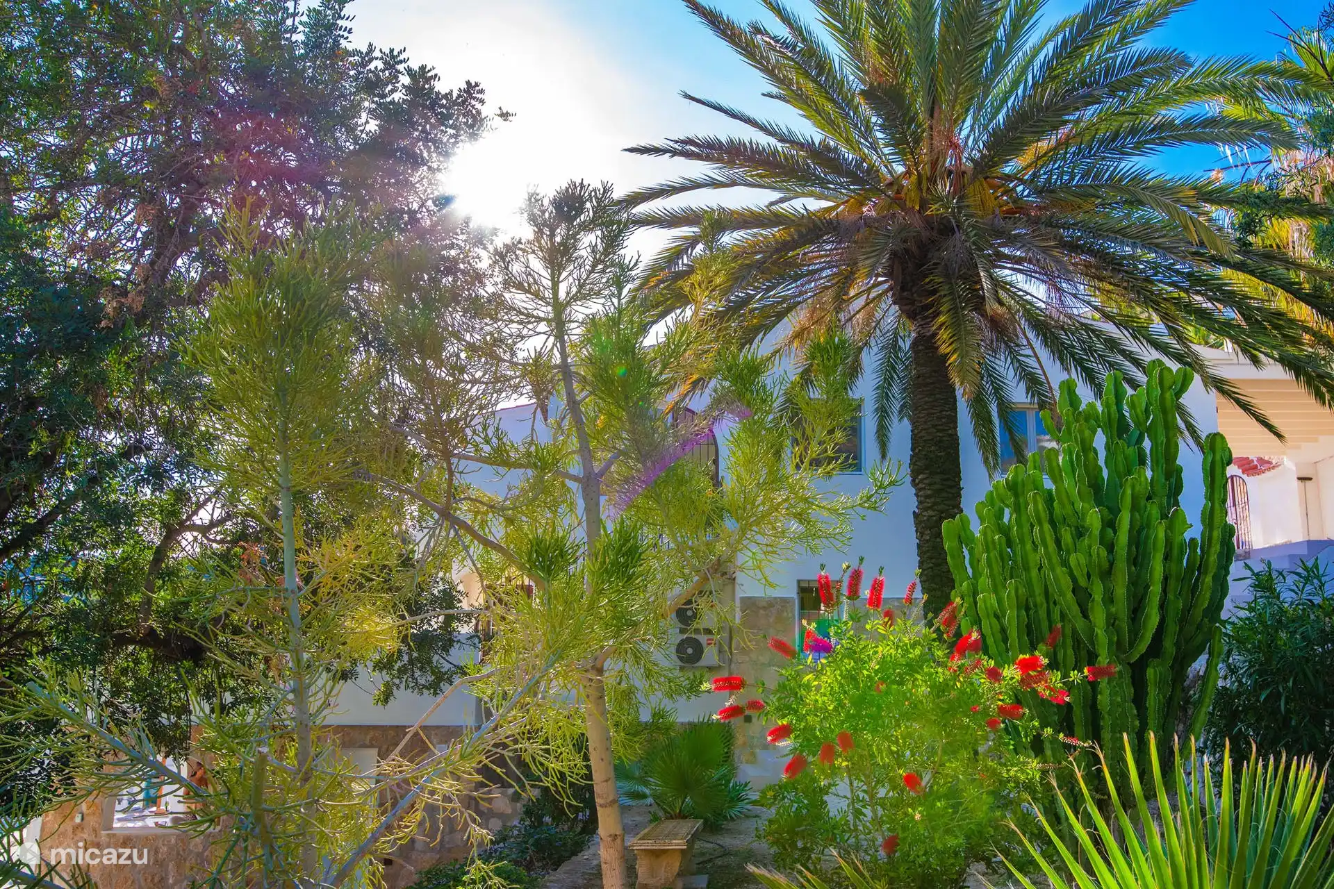 Mediteranean garden

