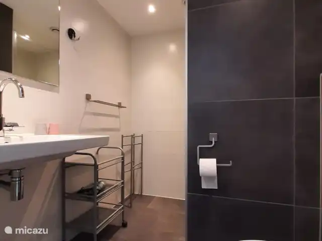 Mooy aan Zee en Países Bajos, Holanda del Norte, Callantsoog - casa paredada Baño