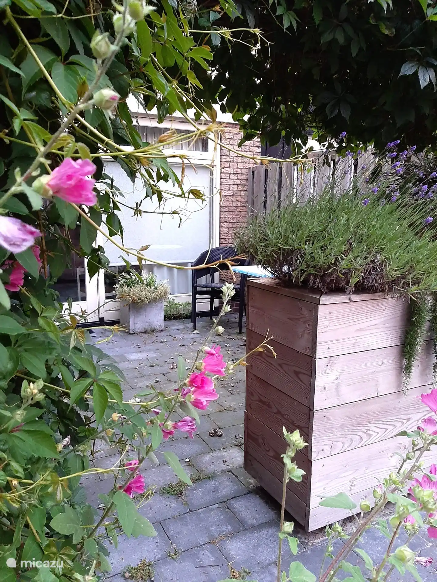 Garten mit Pflanzen und Blumen