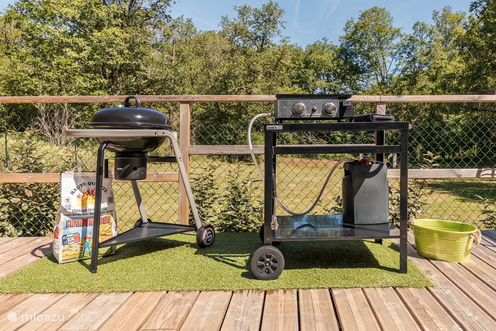 BBQ y barbacoa