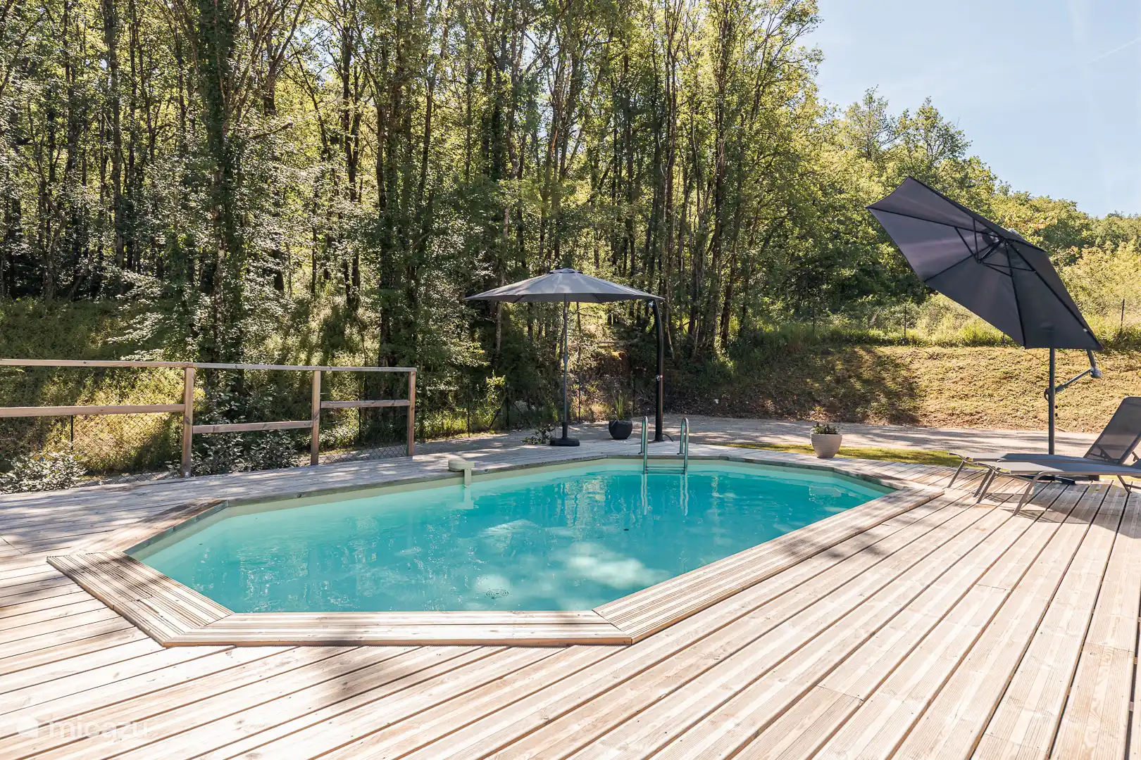 Vegetación alrededor de la piscina