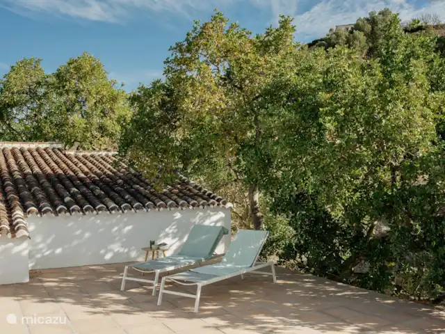 Casa Olivia huren in Spanje, Andalusië, Canillas de Aceituno - finca Casa Olivia - Rooftop terrace