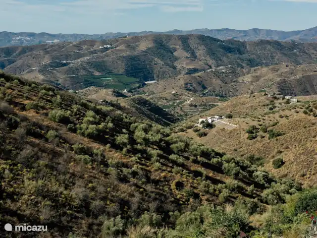 Casa Olivia huren in Spanje, Andalusië, Canillas de Aceituno - finca Casa Olivia - Mountain view from terrace