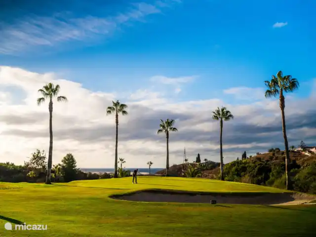 Casa Olivia huren in Spanje, Andalusië, Canillas de Aceituno - finca Casa Olivia - Golf courses