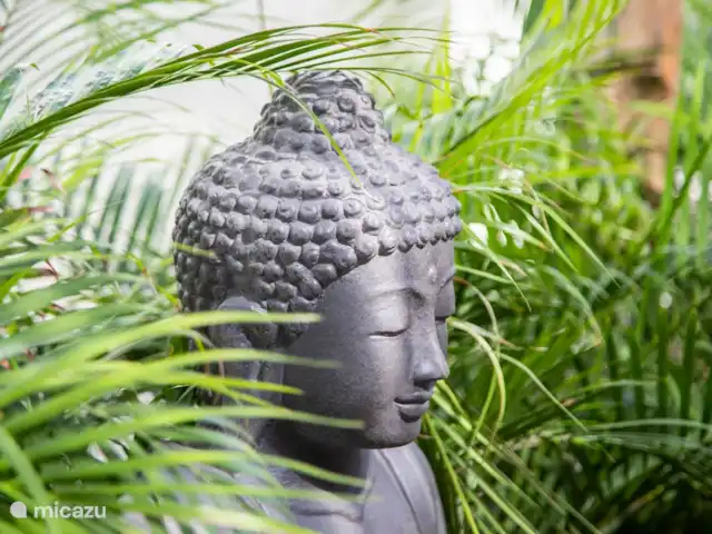 Villa Rayo de Sol en Curazao, Banda Arriba (este), Mambo Beach - villa Momento de descanso