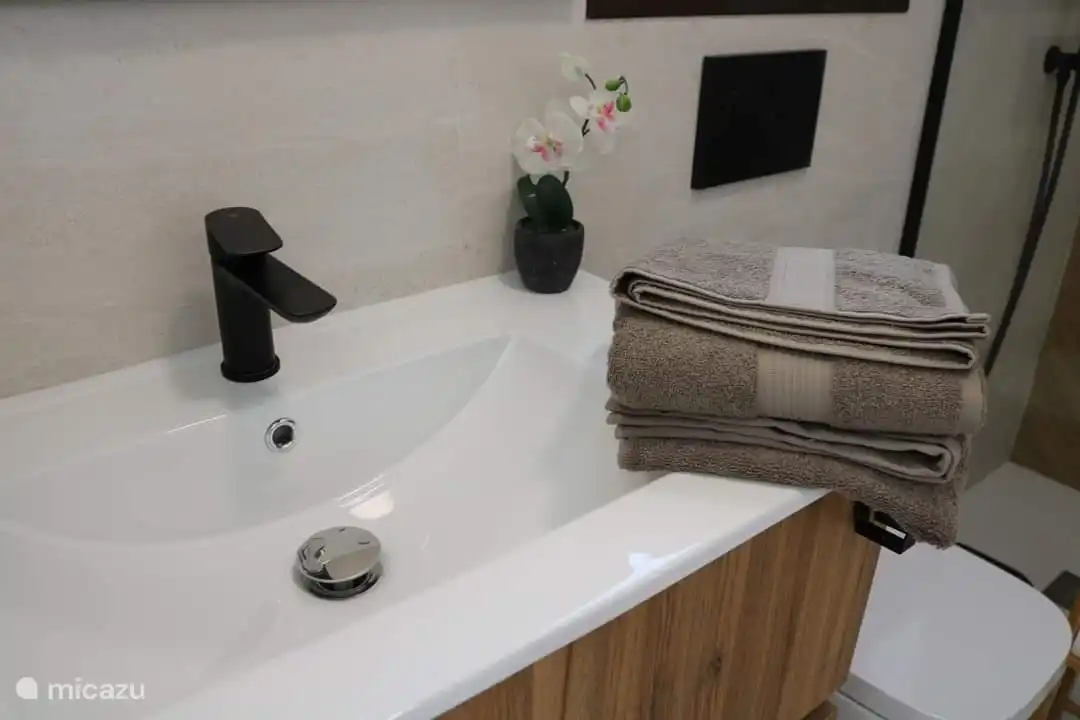 Bathroom with toilet, sink and shower