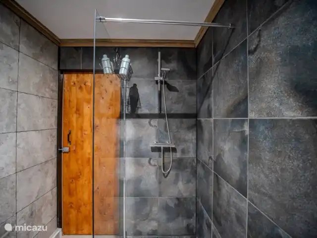 Bungalow forestier Jelka | Pays-Bas, Overijssel, Rheezerveen - bungalow La salle de bain, équipée d’un WC, d’un lavabo avec lavabo et d’une douche à l’italienne.