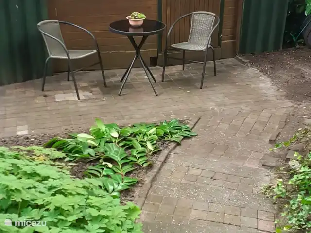 Bungalow forestier Jelka | Pays-Bas, Overijssel, Rheezerveen - bungalow Profiter du soleil du début du printemps ? 
C’est l’endroit où il faut être.