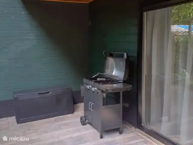 Bungalow forestier Jelka | Pays-Bas, Overijssel, Rheezerveen - bungalow Auvent avec éclairage. Le bbq est mobile.