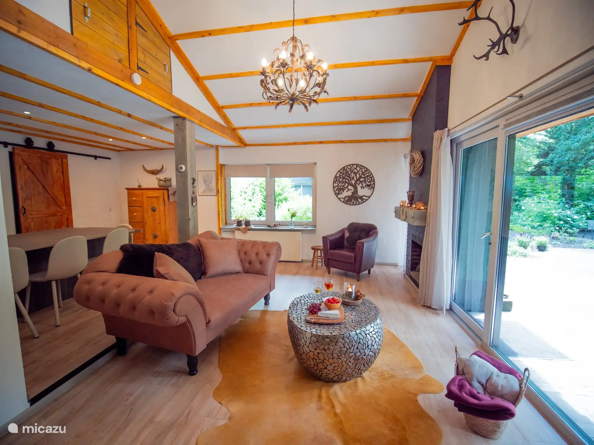 Waldbungalow Jelka in Niederlande, Overijssel, Rheezerveen - Bungalow