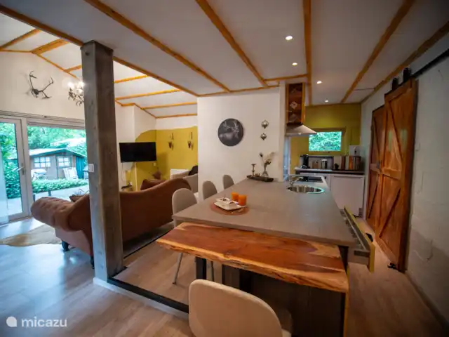 Bungalow forestier Jelka | Pays-Bas, Overijssel, Rheezerveen - bungalow Îlot de cuisine avec vue sur le salon.