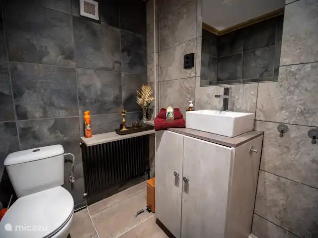 Bungalow forestier Jelka | Pays-Bas, Overijssel, Rheezerveen - bungalow La salle de bain, équipée d’un WC, d’un lavabo avec lavabo et d’une douche à l’italienne.