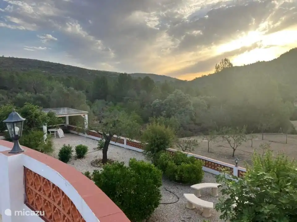 View over the fruit tree garden