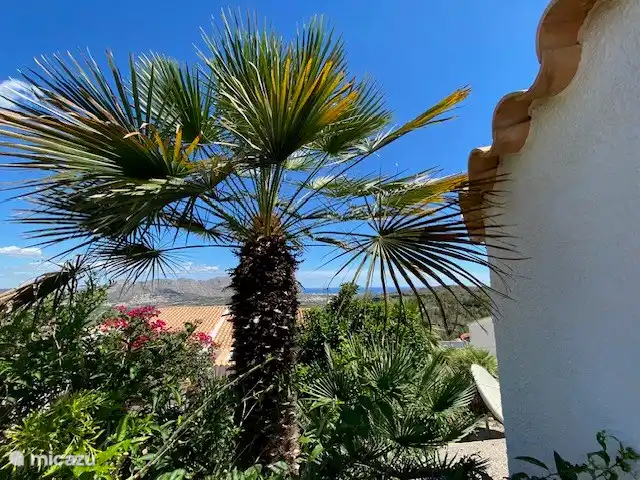 Location de Vacances Espagne, Costa Blanca, Benidoleig, villa - Villa Verano Côté de la maison
