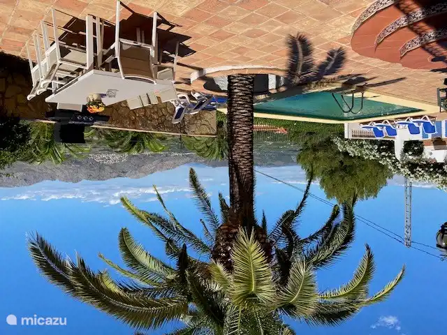 Palm and outdoor dining area