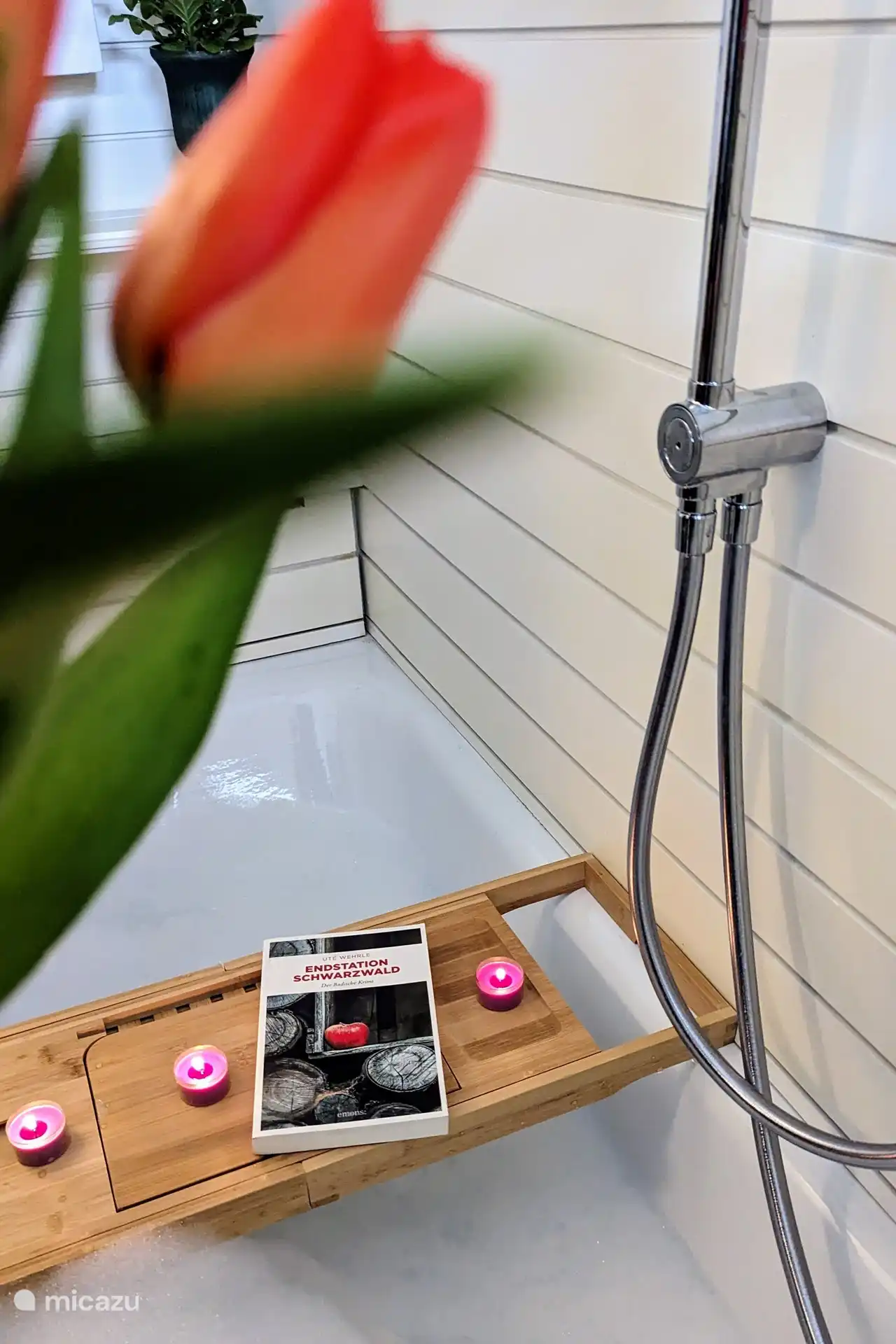 Détendez-vous avec un bain moussant et plongez dans un thriller passionnant de la Forêt-Noire. Après une journée active, il n’y a rien de mieux qu’une pause bien méritée, un peu de littérature dans notre baignoire confortable. Mode détente !