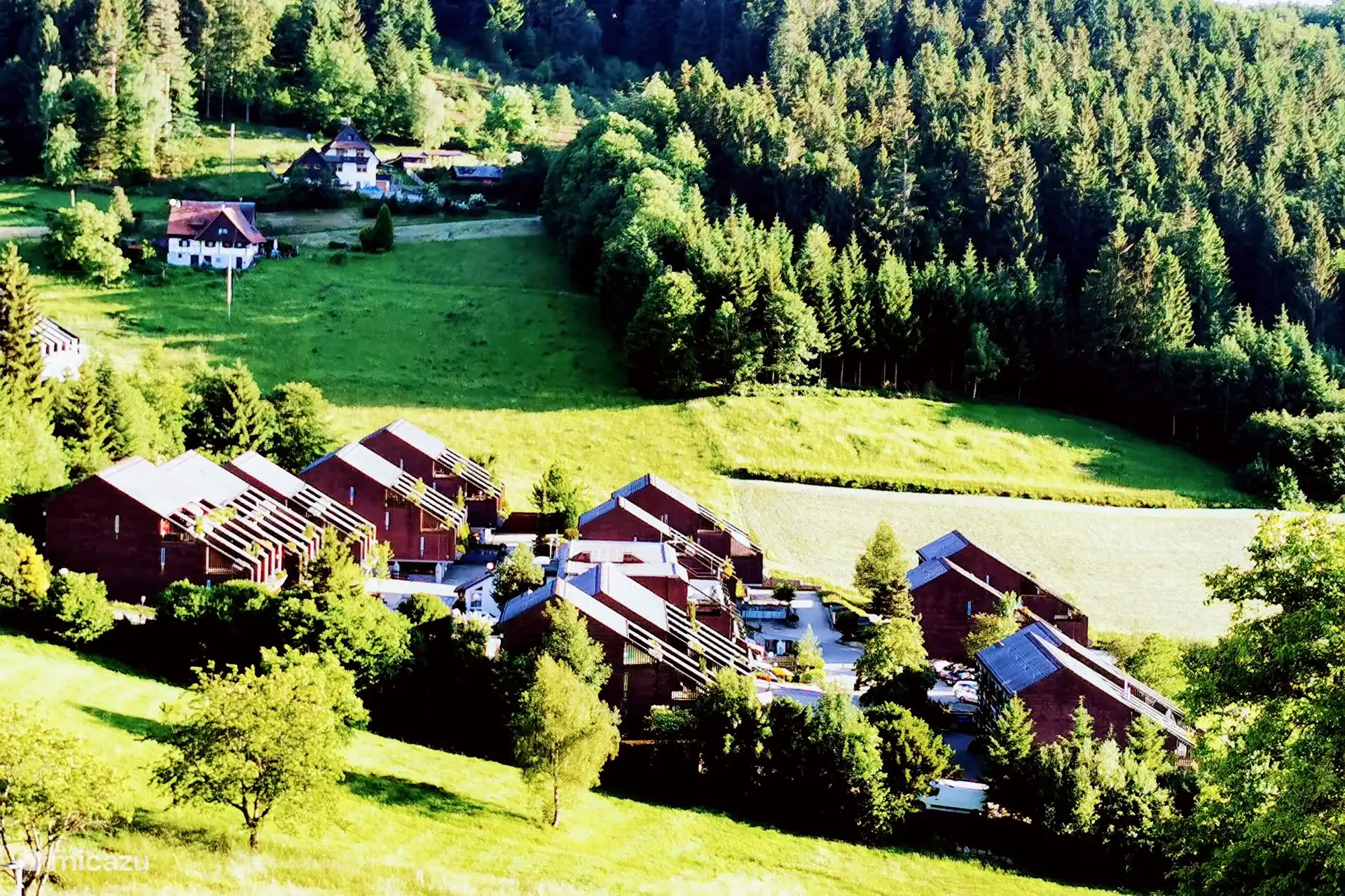 Parc en terrasses - en pleine nature à 750 m d’altitude - près du parc national de la Forêt-Noire et du pittoresque Sasbachwalden, qui a remporté plusieurs prix de 1967 à 2009. Par exemple, médaille d’or au concours national « Entente Florale - Notre ville s’épanouit »