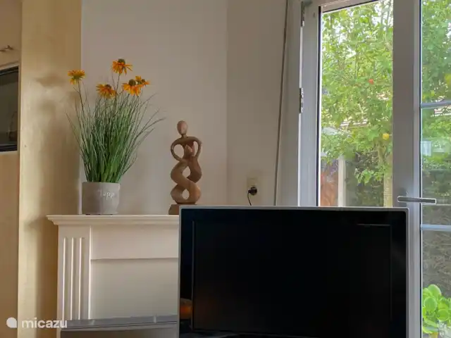 Location de Vacances Pays-Bas, Hollande méridionale, Goedereede, maison de vacances - Palais de Wil TV dans le chalet