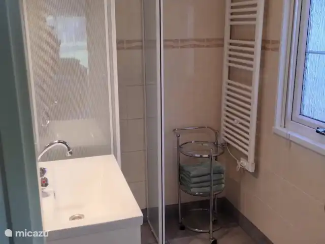 Location de Vacances Pays-Bas, Hollande méridionale, Goedereede, maison de vacances - Palais de Wil Salle de bain avec douche, WC et lavabo