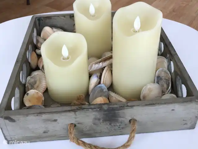 Location de Vacances Pays-Bas, Hollande méridionale, Goedereede, maison de vacances - Palais de Wil La recherche de coquillages est toujours amusante !