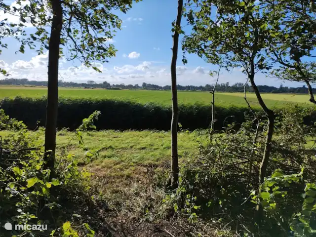 Location de Vacances Pays-Bas, Hollande méridionale, Goedereede, maison de vacances - Palais de Wil Vue dégagée sur les prairies autour d’Ouddorp