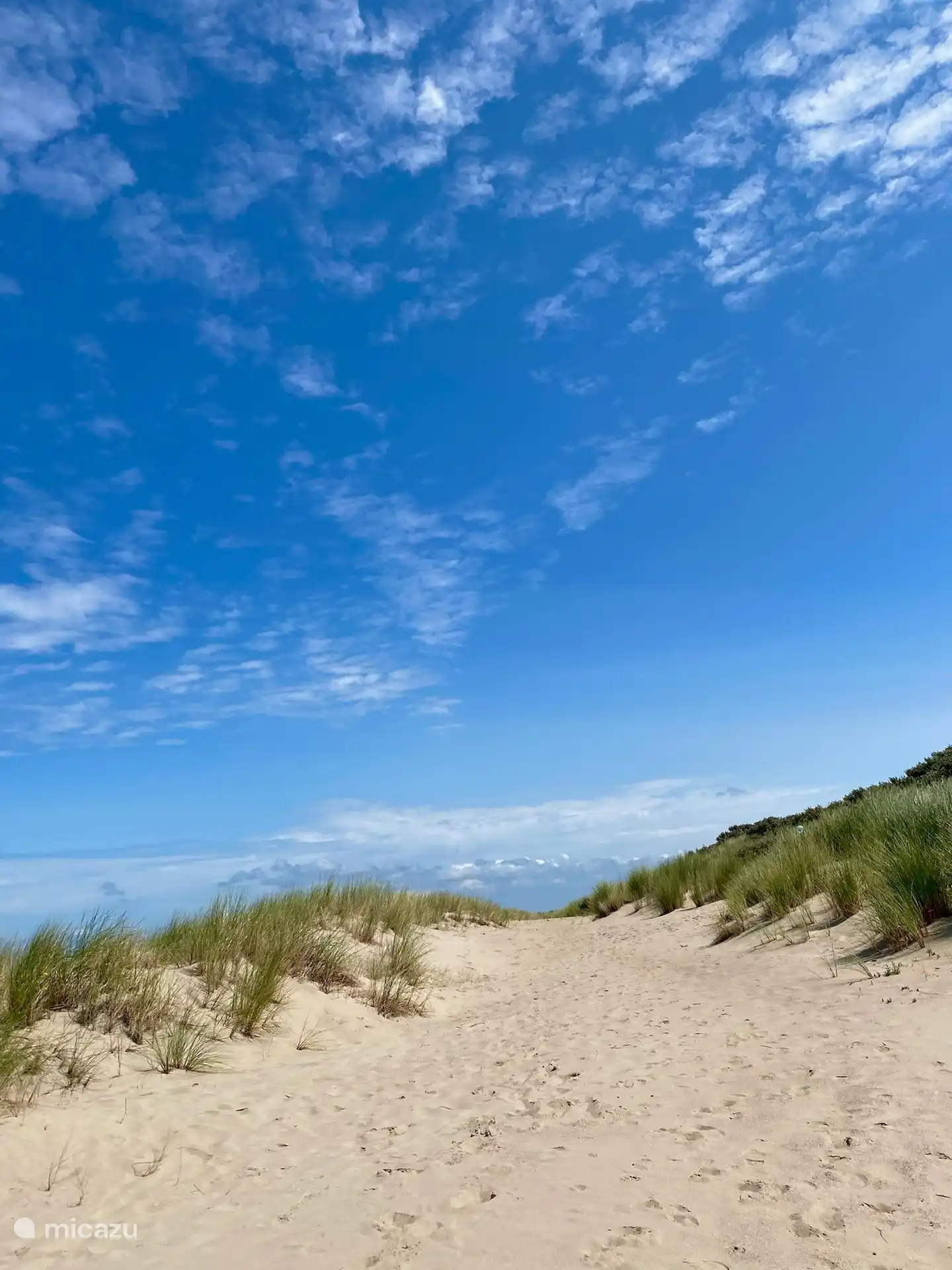 Schön, an den Strand zu gehen!